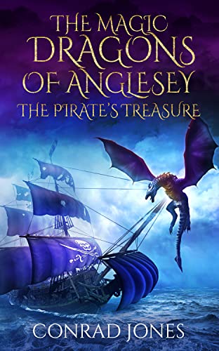 The Pirate's Treasure book cover