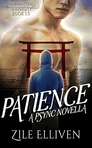 Patience book cover