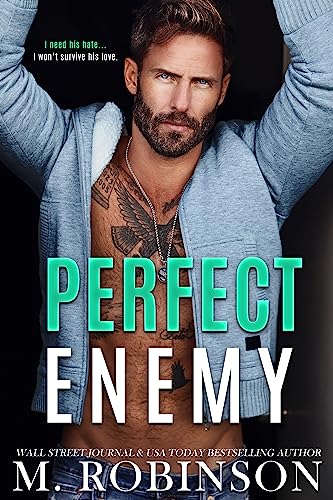 Perfect Enemy book cover