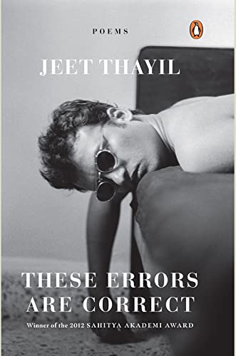 These Errors Are Correct book cover