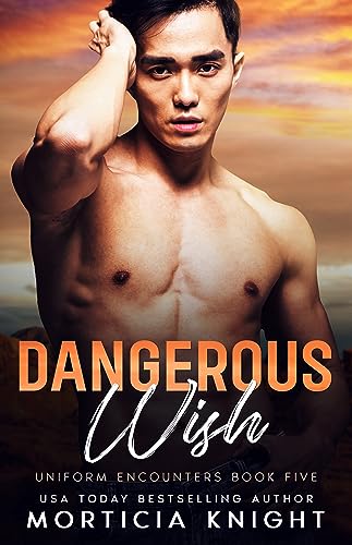 Dangerous Wish book cover