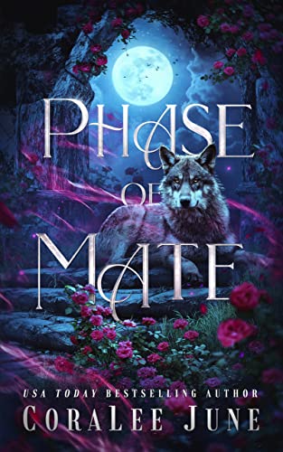 Phase of Mate book cover