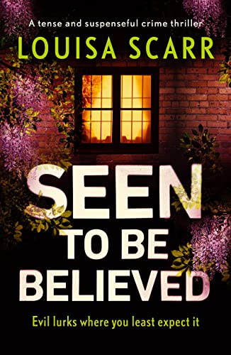 Seen to Be Believed book cover