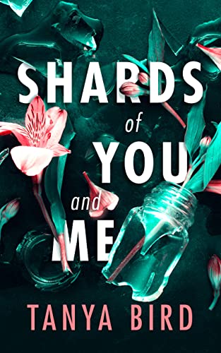 Shards of You and Me book cover