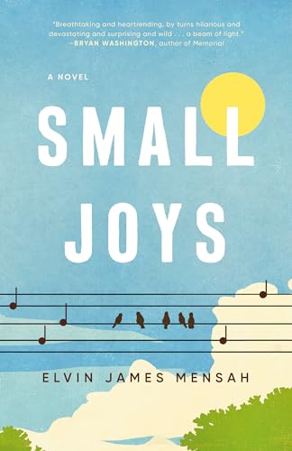 Small Joys book cover