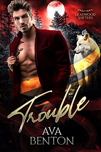 Trouble book cover