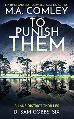 To Punish Them book cover