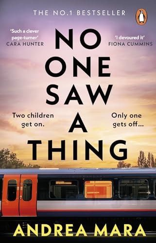 No One Saw a Thing book cover