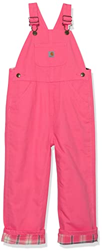 Carhartt Baby Girls Canvas Flannel-Lined Bib Overalls, Pink Lemonade, 12 Months