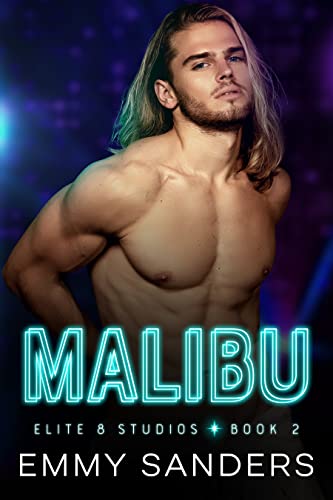 Malibu book cover