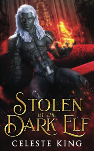 Stolen By The Dark Elf book cover