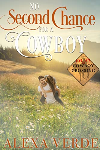 No Second Chance for a Cowboy book cover