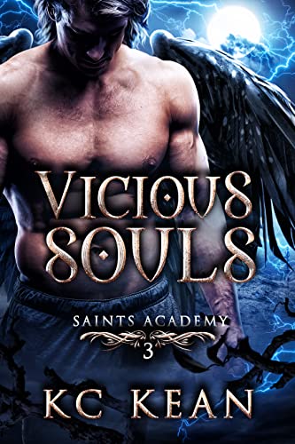 Vicious Souls book cover