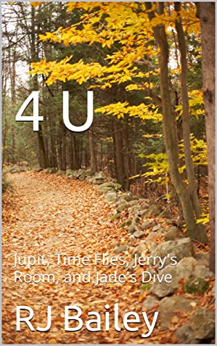 4 U book cover