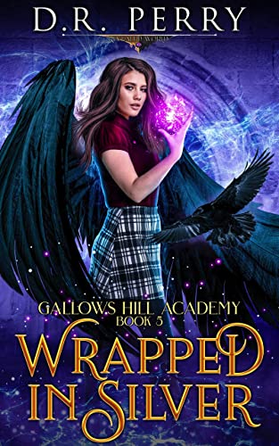 Wrapped in Silver book cover