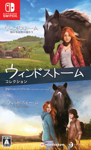 あなたが選ぶ4Divinityの名作ゲーム・人気投票＆ランキング　1位　ウィンドストーム ザ・コレクションの画像