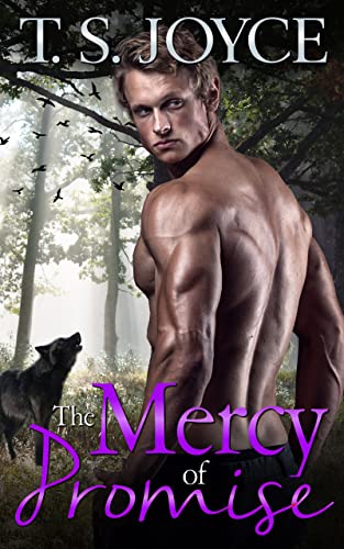 The Mercy of Promise book cover