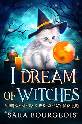 I Dream of Witches book cover