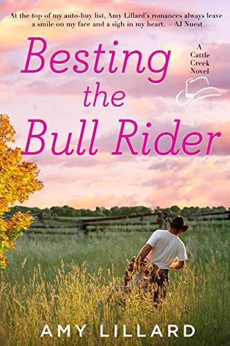 Besting the Bull Rider book cover