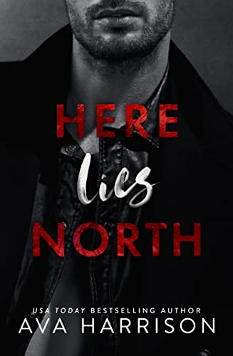 Here Lies North book cover