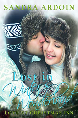 Lost in Winter's Wonderland book cover