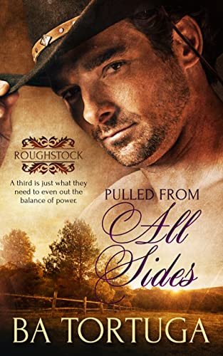 Pulled from All Sides book cover