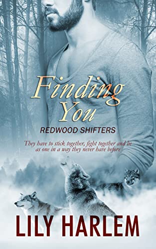 Finding You book cover
