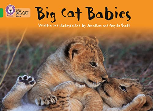 Big Cat Babies (By: Jonathan Scott,Angela Scott) cover