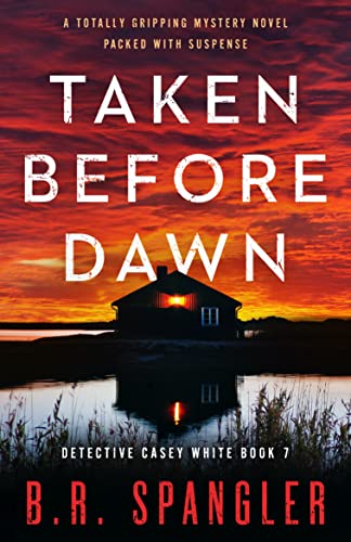 Taken Before Dawn cover