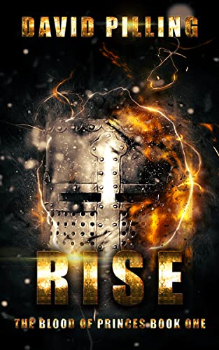 Rise book cover