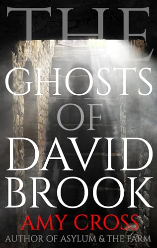 The Ghosts of David Brook book cover