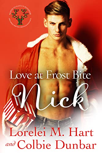 Nick book cover