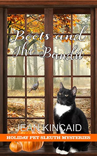 Boots and the Bandit book cover