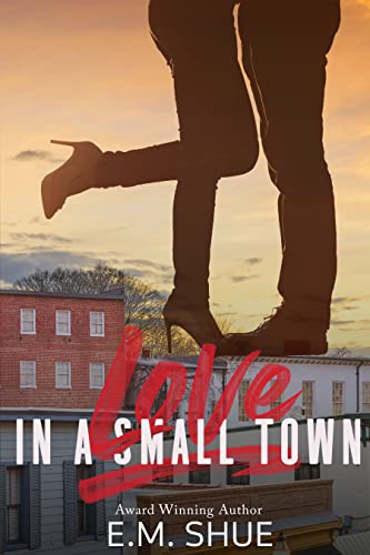 Love in a Small Town book cover