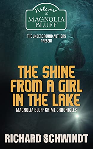 The Shine from a Girl in the Lake book cover