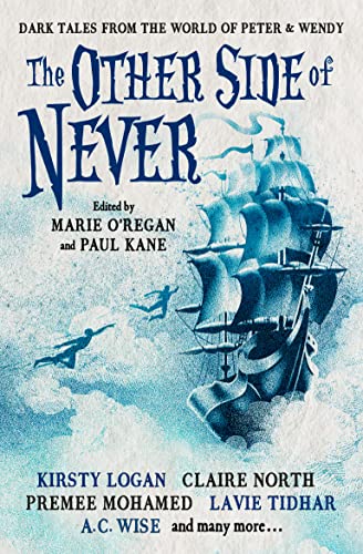 The Other Side of Never book cover