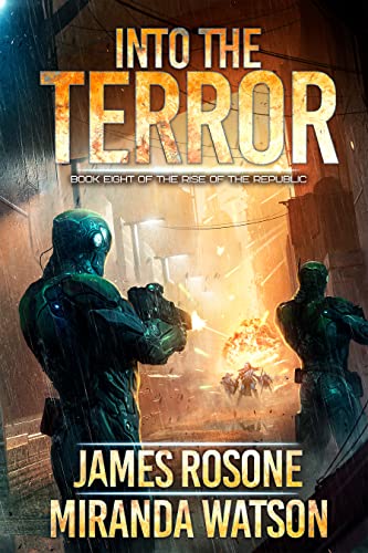 Into the Terror book cover