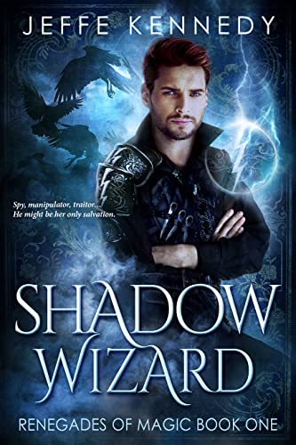Shadow Wizard book cover