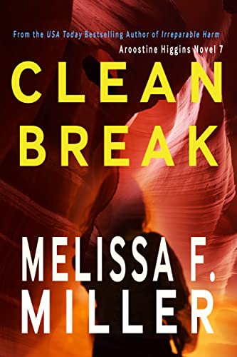 Clean Break book cover