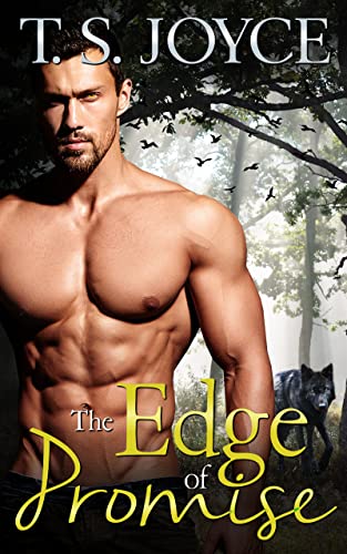 The Edge of Promise cover