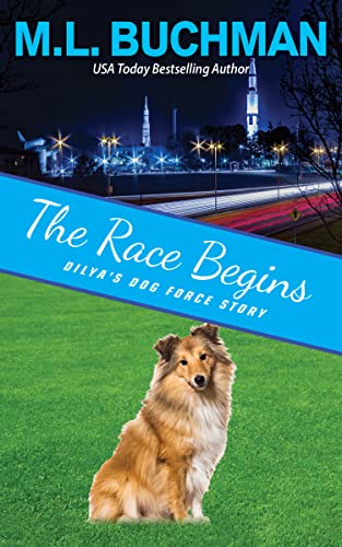 The Race Begins book cover