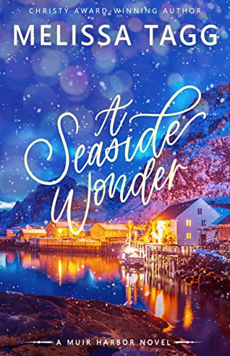 A Seaside Wonder book cover