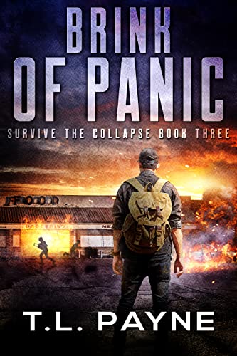 Brink of Panic book cover