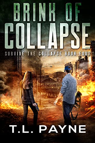 Brink of Collapse book cover