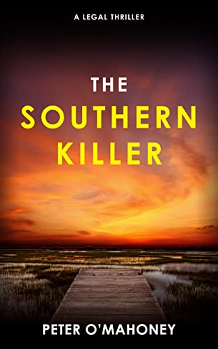 The Southern Killer book cover