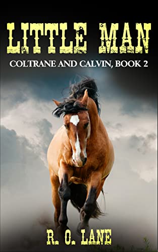 Little Man book cover