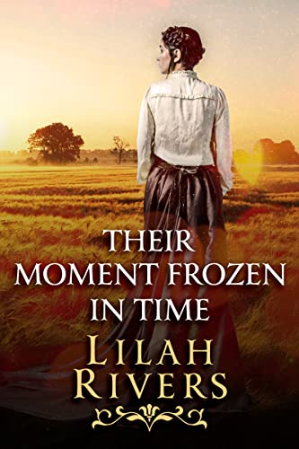 Their Moment Frozen in Time book cover
