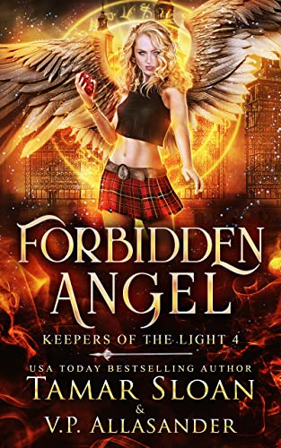 Forbidden Angel book cover