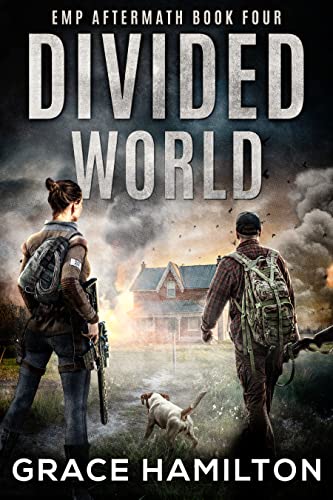 Divided World book cover