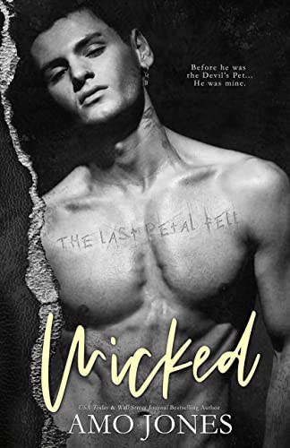 Wicked book cover